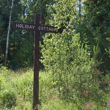 Ylijarvi Cottages 別荘