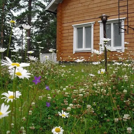 別荘 Ylijarvi Cottages *